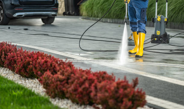 Best Roof Pressure Washing  in Onawa, IA