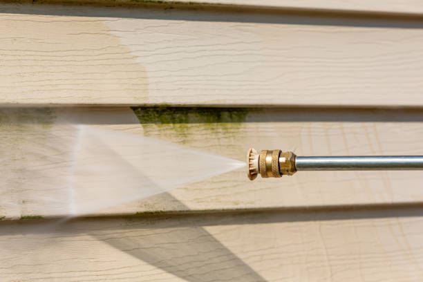 Best Exterior Home Cleaning  in Onawa, IA