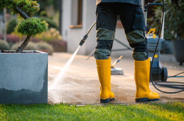 Best House Pressure Washing  in Onawa, IA
